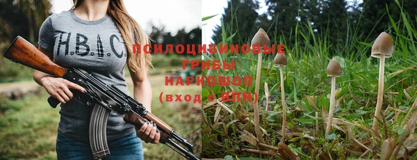 дурь Алексеевка