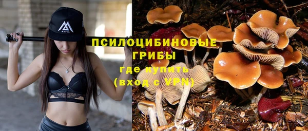 спиды Алзамай
