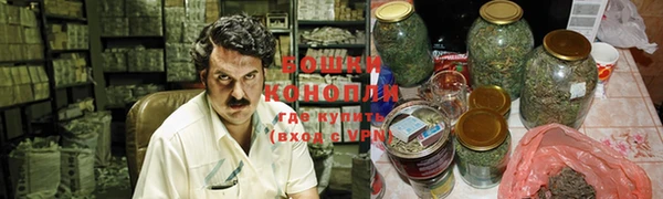 дурь Алексеевка
