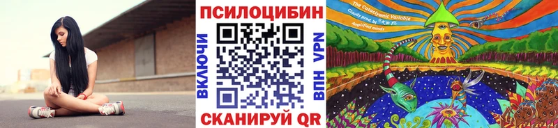 Псилоцибиновые грибы Cubensis  цена   kraken вход  нарко площадка официальный сайт  Джанкой 