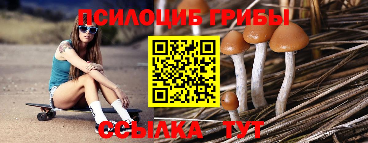 Галлюциногенные грибы GOLDEN TEACHER Джанкой