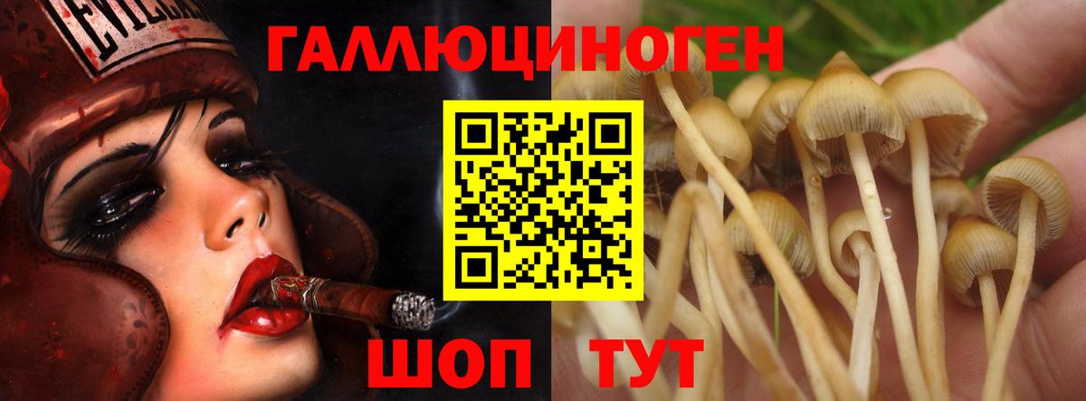 Псилоцибиновые грибы MAGIC MUSHROOMS  Вход с VPN  Джанкой 